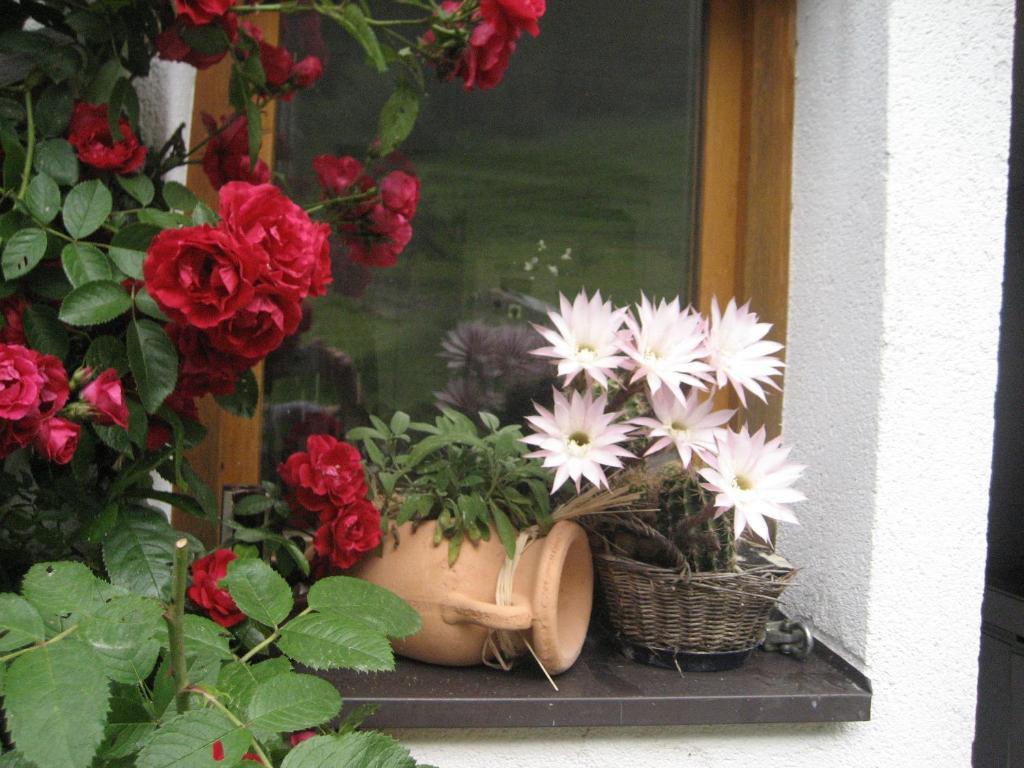 Hinterankerwald Apartment Walchsee Luaran gambar
