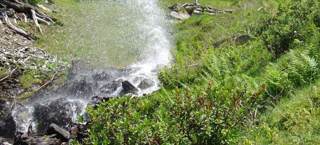 Hinterankerwald Apartment Walchsee Bilik gambar