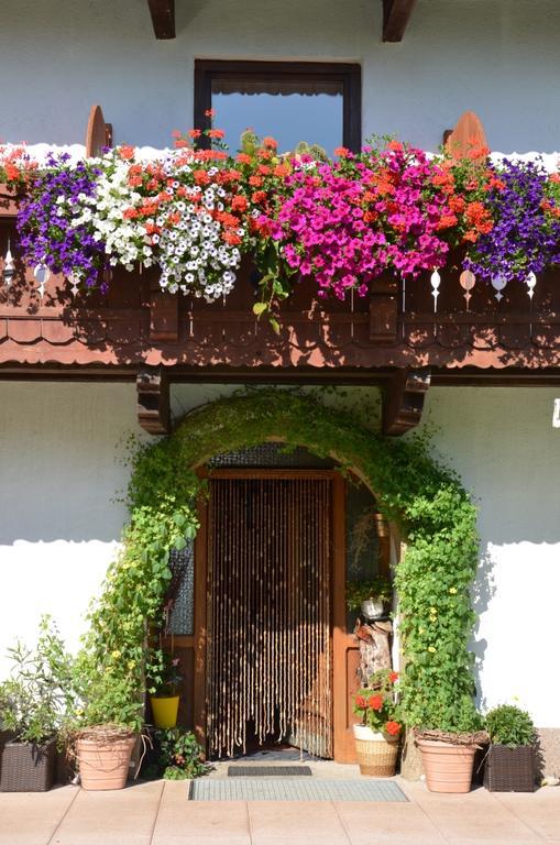 Hinterankerwald Apartment Walchsee Luaran gambar
