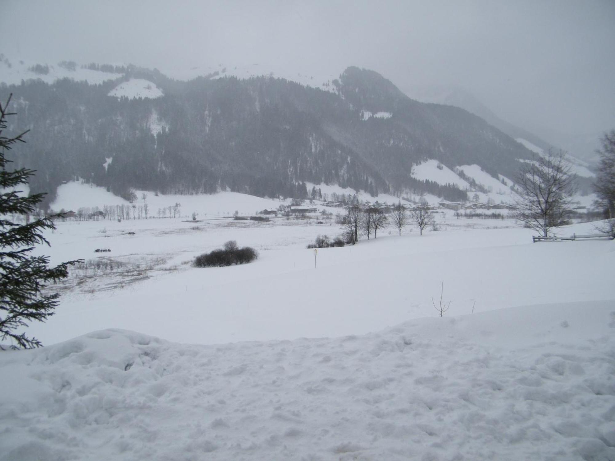 Hinterankerwald Apartment Walchsee Luaran gambar