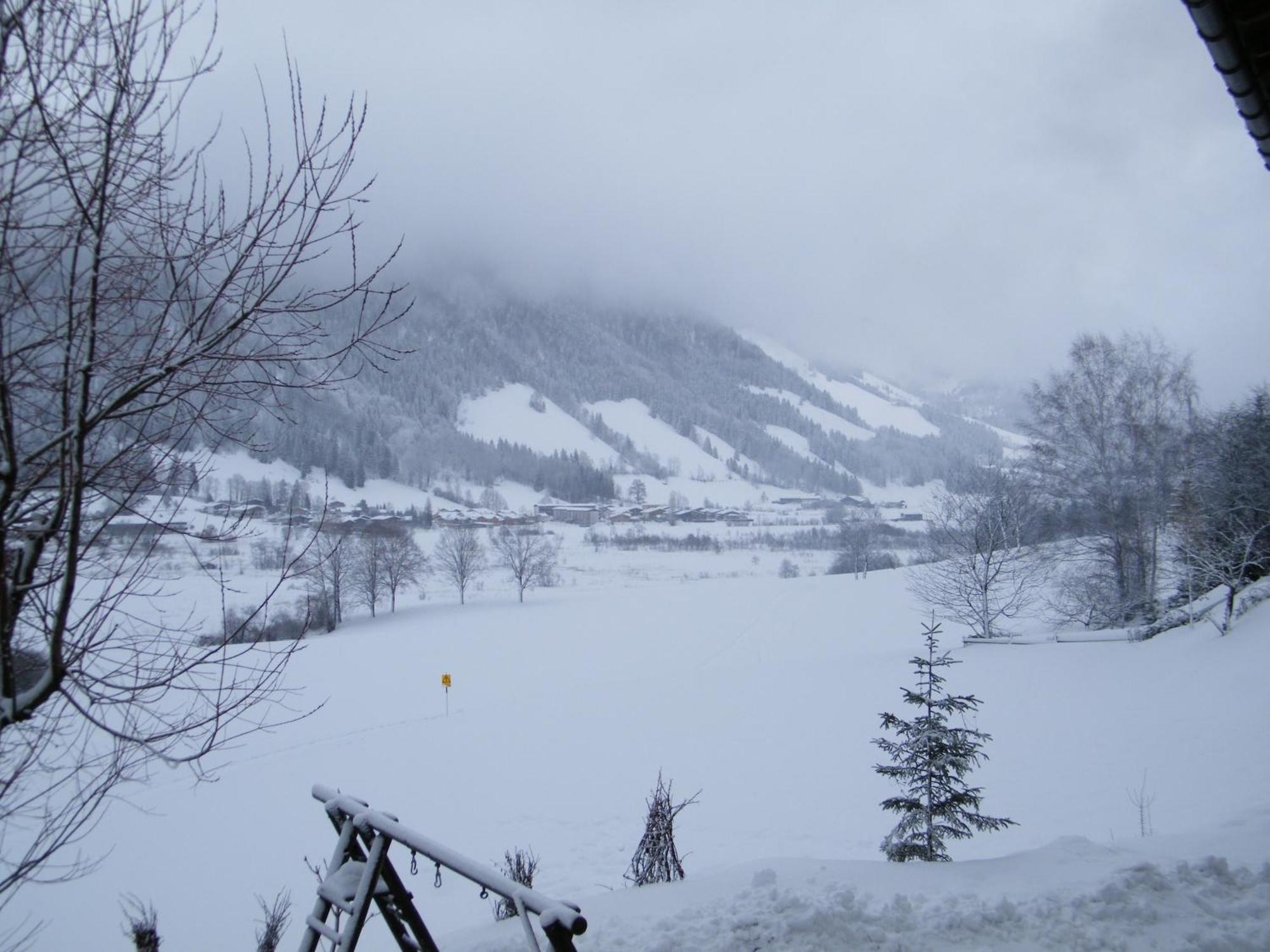 Hinterankerwald Apartment Walchsee Luaran gambar