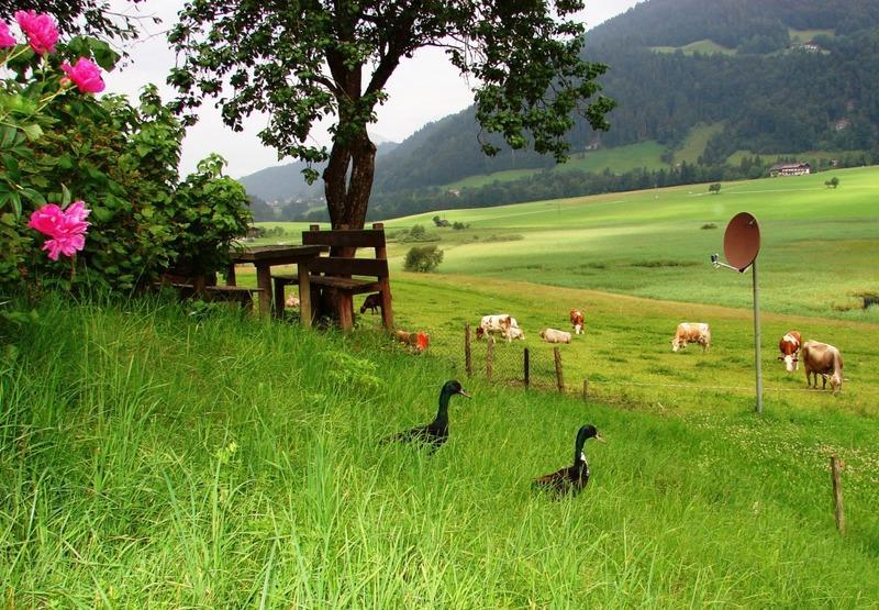 Hinterankerwald Apartment Walchsee Luaran gambar