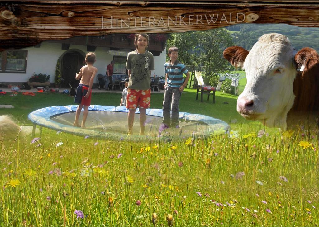 Hinterankerwald Apartment Walchsee Luaran gambar
