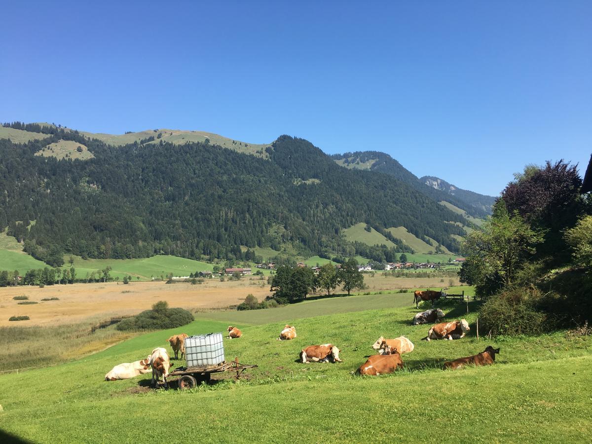 Hinterankerwald Apartment Walchsee Luaran gambar